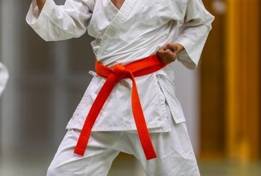 Shotokan Karate