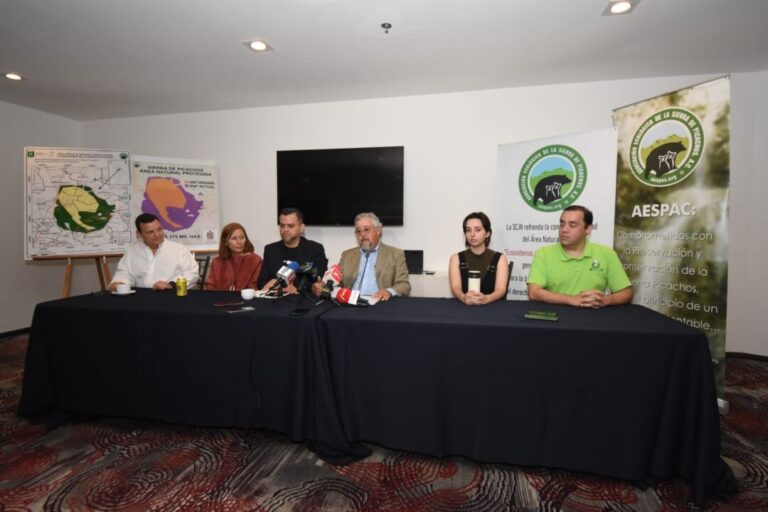 Preservación de Sierra de Picachos beneficiará a NL consideran ambientalistas