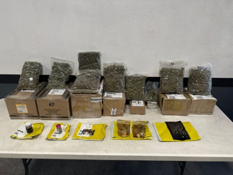 En Nuevo León, Guardia Nacional asegura 13 kilos de droga sintética cristal y detecta 13 envíos con aparente marihuana