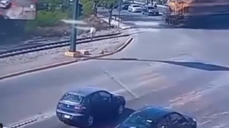 Tragedia en Escobedo, Nuevo León: Mujer Muere Arrollada por un Tren Mientras Usaba Audífonos