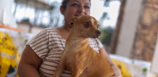 Adopción de Mascotas en Juárez: Donación y Esterilizaciones