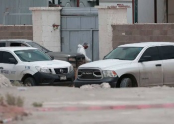 Hallan 381 cadáveres abandonados en crematorio de Ciudad Juárez