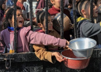 La crisis humanitaria en Gaza hambruna masiva y desnutrición alarmante