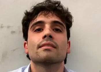 Fiscalía de Nueva York retira cargos contra Ovidio Guzmán tras declarase culpable por narcotráfico