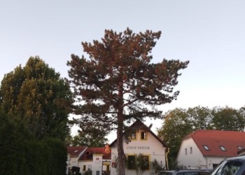 Dolní Počernice: Un rincón de belleza y paz