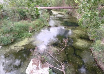 2050: ¿El fin de la humanidad?