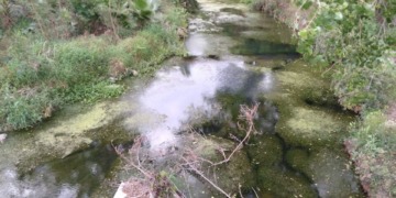 2050: ¿El fin de la humanidad?