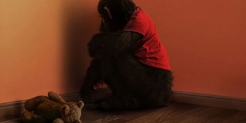 ‘Primate’ y el regreso al terror más puro y directo