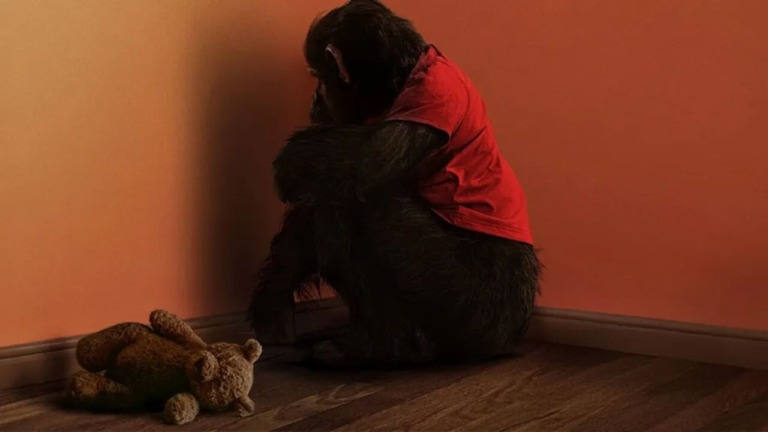 ‘Primate’ y el regreso al terror más puro y directo