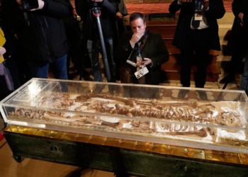 Exponen restos de San Francisco de Asís en Italia