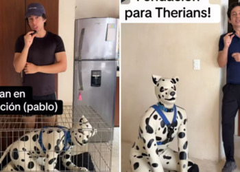 Hombre 'therian' que se identifica como dálmata busca adopción y cuidados