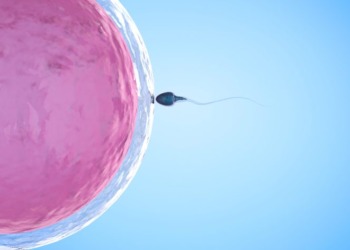 La ciencia no afirma que la vida inicia desde la concepción