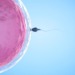 La ciencia no afirma que la vida inicia desde la concepción