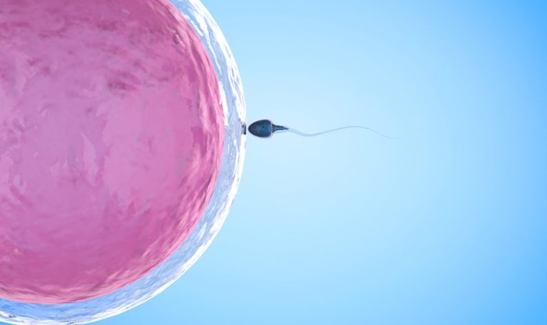 La ciencia no afirma que la vida inicia desde la concepción