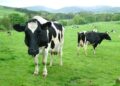 Investigadores analizando datos sobre seguridad alimentaria