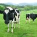 Investigadores analizando datos sobre seguridad alimentaria