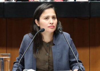 Beatriz Andrea Navarro Pérez en el Congreso de la Unión.