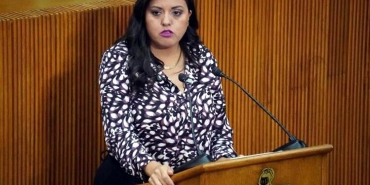 Diputadas exigen recursos para OSC en Nuevo León