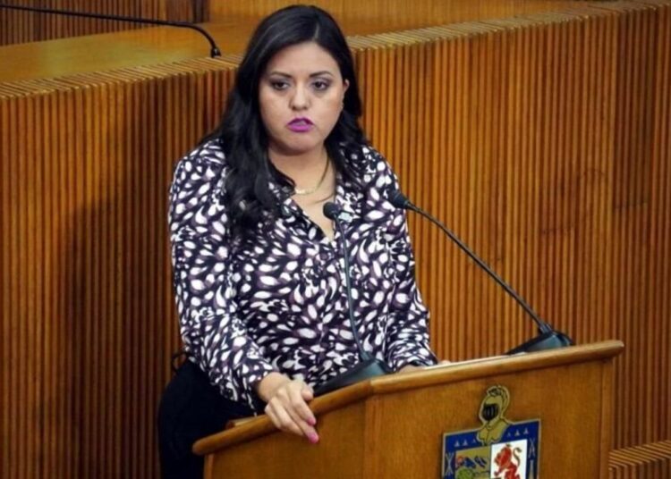 Diputadas exigen recursos para OSC en Nuevo León