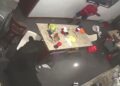 Oso negro en la cocina de una vivienda en San Pedro Garza García