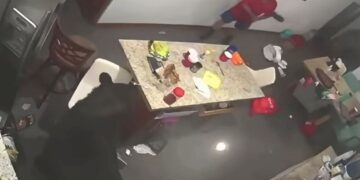 Oso negro en la cocina de una vivienda en San Pedro Garza García