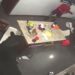 Oso negro en la cocina de una vivienda en San Pedro Garza García