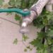 Tubería de agua en mantenimiento en Apodaca