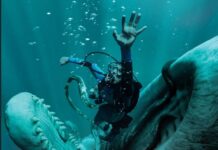 LA CAÍDA DE LA BALLENA: SUPERVIVENCIA Y CULPA EN UN ESPACIO QUE AHOGA
