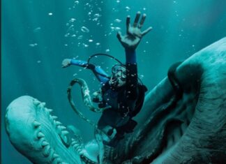 LA CAÍDA DE LA BALLENA: SUPERVIVENCIA Y CULPA EN UN ESPACIO QUE AHOGA