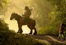 WILDWOOD: AMBICIÓN ARTESANAL QUE NO SIEMPRE ENCUENTRA SU RITMO